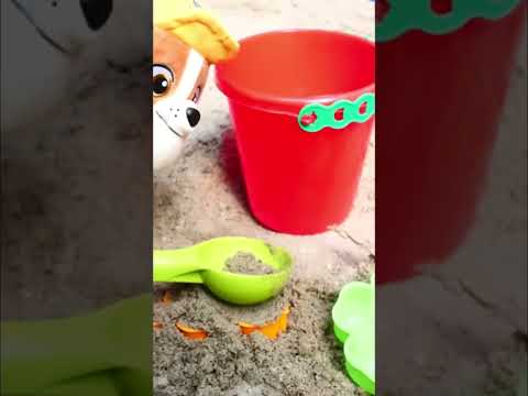 🐶✨ Juegos en la caja de arena para cachorros