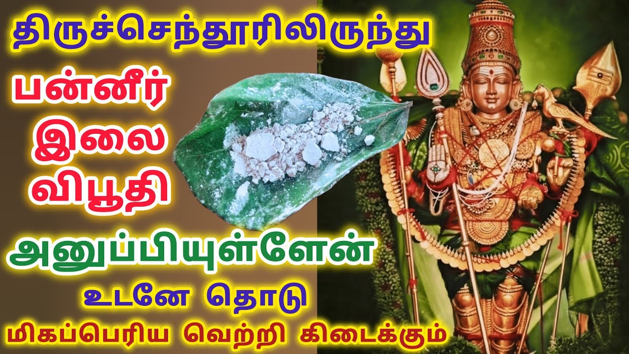 திருச்செந்தூரில் இருந்து பன்னீர் இலை விபூதி அனுப்பி உள்ளேன் உடனே தோடு மிகப்பெரிய வெற்றி கிடைக்கும்