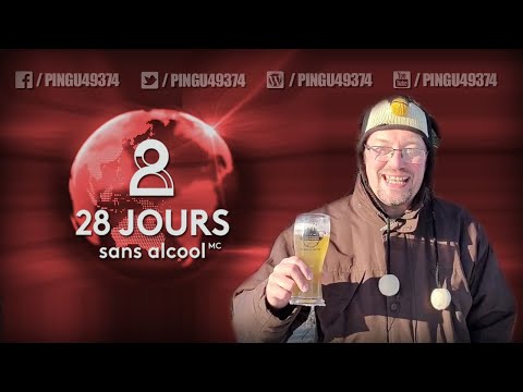 2022 - Défi 28 JOURS - Pingu49374