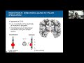 Advances in Understanding Deep Brain Stimulation