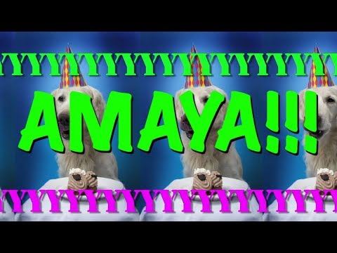 HAPPY BIRTHDAY AMAYA EPIC Happy Birthday Song 