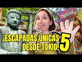 5 Escapadas de un Día que Debes Hacer desde Tokio