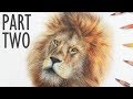 REAL TIME How To Draw a LION with COLORED PENCIL | Part 2