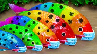 Stop Motion ASMR - Colorful koi fish conquer pink koi with money and cars | Fish videos