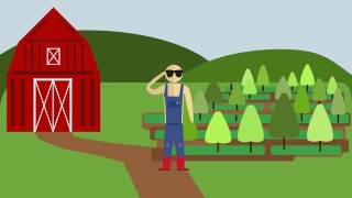 Fairtrade Animation