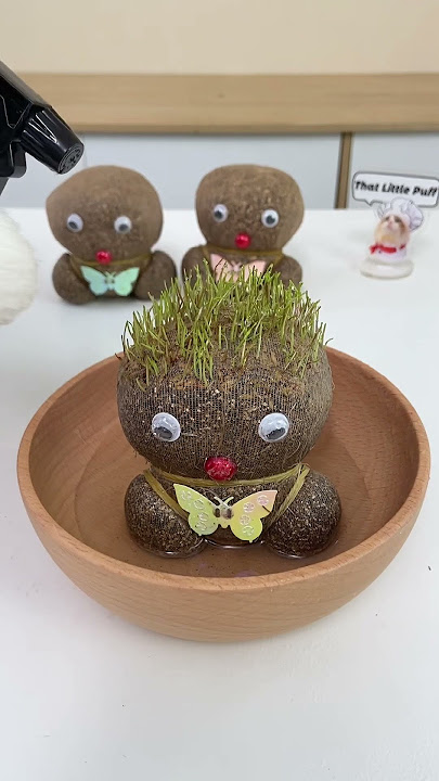 How to grow your cute grass doll 🪆#thatlittlepuff