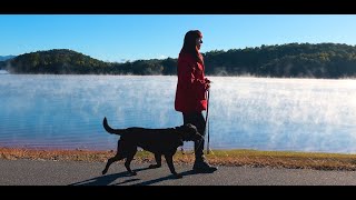 Dog Training, Georgia, Lab, Day 11:  Shop + Train | Hawk’s Hill Farm | Chatuge Dam | Hayesville, NC