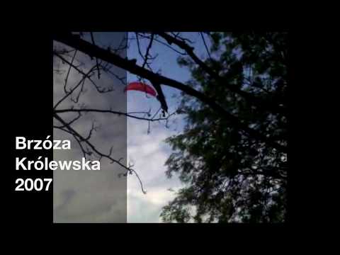 Dzie Seniora w Brzzie Krlewskiej Stowarzyszenie Rozwoju Wsi Brzza Krlewska Jesienne Spotkania z Teatrem Wigilia dla osb samotnych. KALENDARZ IMPREZ 2018 - GOK Gminy Leajsk