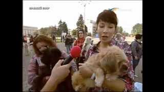ТК Донбасс - ПИФ - Хозяева для бездомных собак ТК Донбасс - ПИФ - Хозяева для бездомных собак