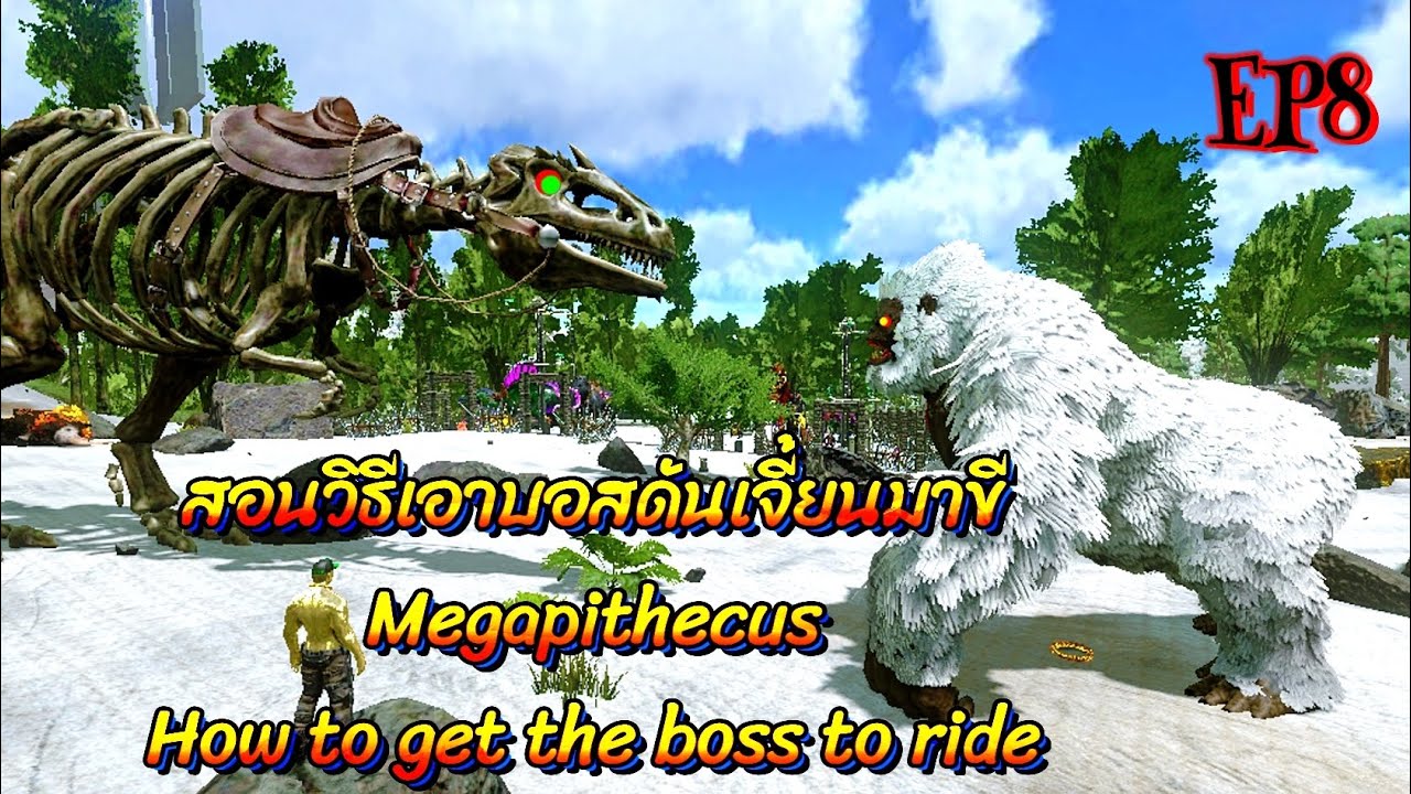 Ark Survival New Season Ep8 How to get the boss to ride วิธีเอาบอส ...