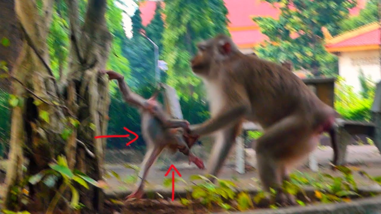 The mother didn't want her cute little child to play in the tree