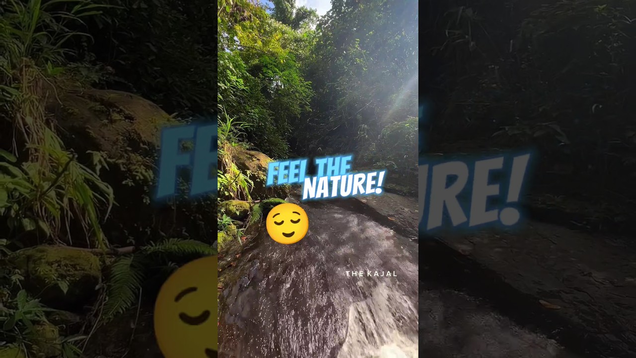 feel the nature 😌 