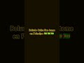 Boludo culo #music