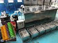 Pro-taylor 10 molds popsicle ice lolly machine working video