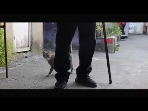 თიზერი ► თბილისური ეზოები