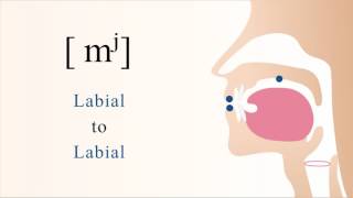 [ mʲ ] voiced palatalized bilabial nasal stop