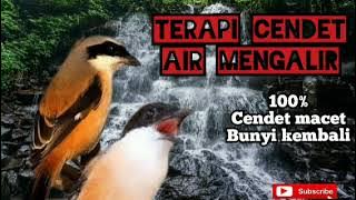 TERAPI CENDET GAK MAU BUNYI||AIR MENGALIR