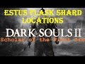 Dark Souls 2: SOTFS - Estus Flask Shard Locations