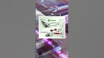 Programming memes #fyp #tech #technology #techtok #software #code #ai #coding