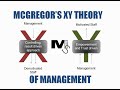 McGregor XY Theory of Management - Simplest Explanation Ever