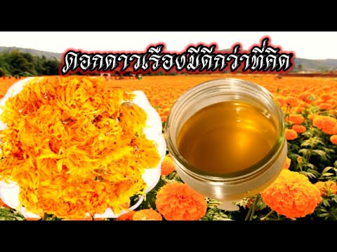 ቪዲዮ: ለምንድነው xanthophyll ቢጫ የሆነው?