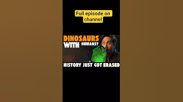 Ica Stones: The Ancient Artifacts That Challenge History