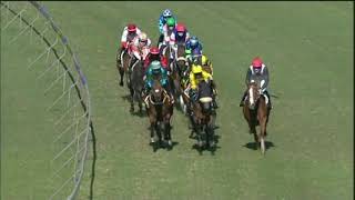 Vidéo de la course PMU PRIX STAY SAFE WITH A MASK FM 75 HANDICAP