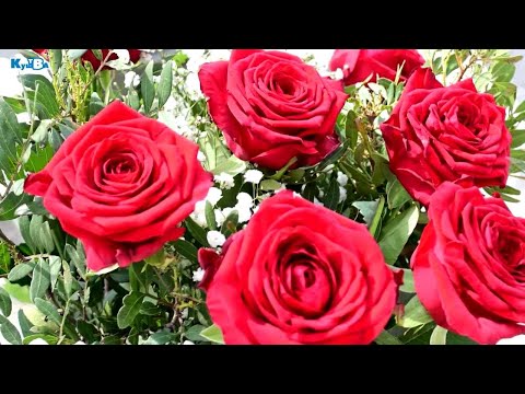 Столетний юбилей жительницы