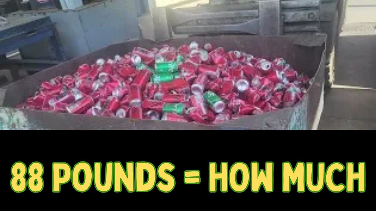 I Recycled 88 Pounds: The Payout was a surprise.