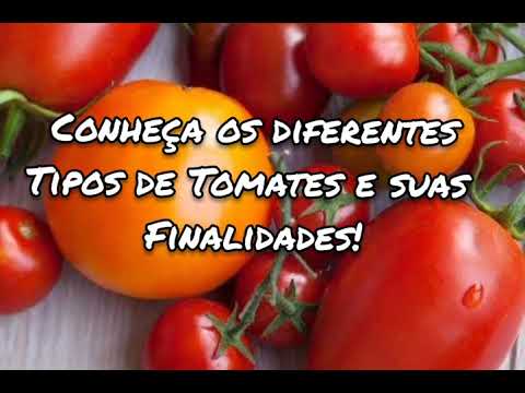 Vídeo: Opções Para Usar Topos De Tomate