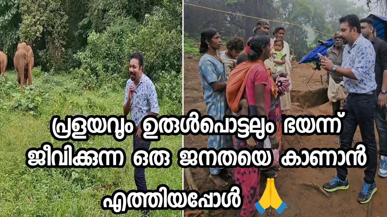 കുഞ്ഞു മക്കളെ തോളിലേറ്റി കാട്ടിൽ പോയി തേനെടുത്തു ജീവിക്കുന്ന മനുഷ്യർ ❣️