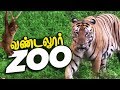 VANDALUR ZOO 2020 | Arignar Anna Zoological Park,Vandalur,Chennai | Chennai ZOO