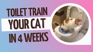 Cat toilet training: How long does it take to train your cat? by The Klaudster 767 views 2 years ago 5 minutes, 13 seconds