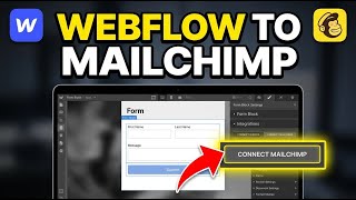How to connect Webflow forms to Mailchimp - Step By Step