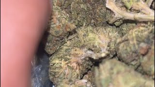 Mochi Strain Review 🍧🔥 | Smooth, Flavorful, Top Shelf!