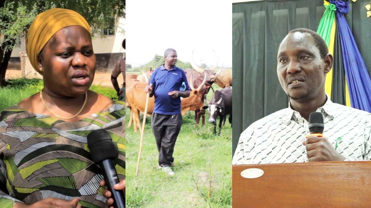 SEKTA YA MIFUGO NYANG'HWALE YAIMARISHWA , YANG'ARA UCHANJAJI WA MIFUGO MKOA WA GEITA