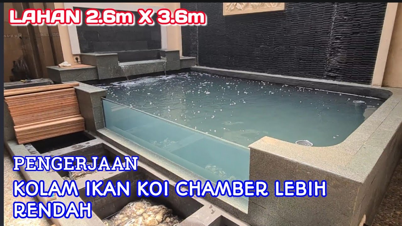 KOLAM IKAN KOI CHAMBER LEBIH RENDAH | Owner Bp Puji Hutomo | Prambon Sidoarjo