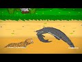 Jaguar vs crocodile animation