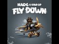 NADG Gold Up Fly Down Visualizer mp3