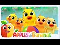 Five Little Ducks Nursery Rhymes & Fun Kindergarten Music for Kids