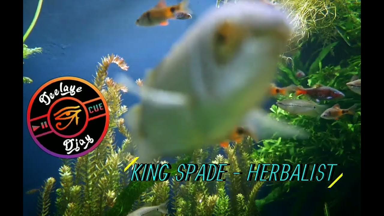 KING_SPADE HERBALIST \\ DEELAYE_DJAY // YouTube