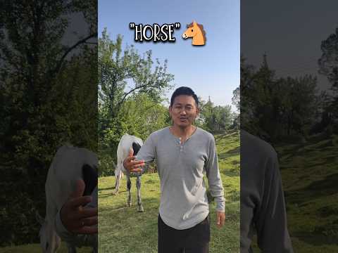 IN TIBETAN WE SAY...😡 #shorts #viralvideo #tibetanvlogger #comedy