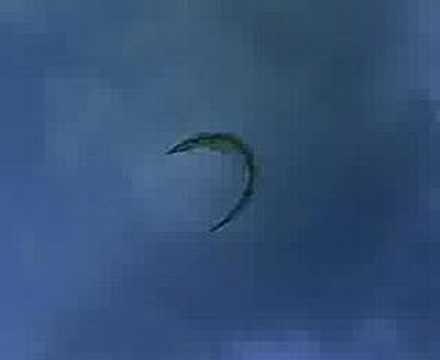 Power Kite Crash OUCH !