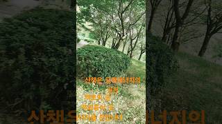 2025년 6월 9일