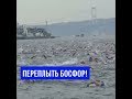 Ежегодный заплыв через пролив Босфор