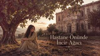 Hastane Önünde İncir Ağacı – Anatolian Rock | Mist of Anatolia