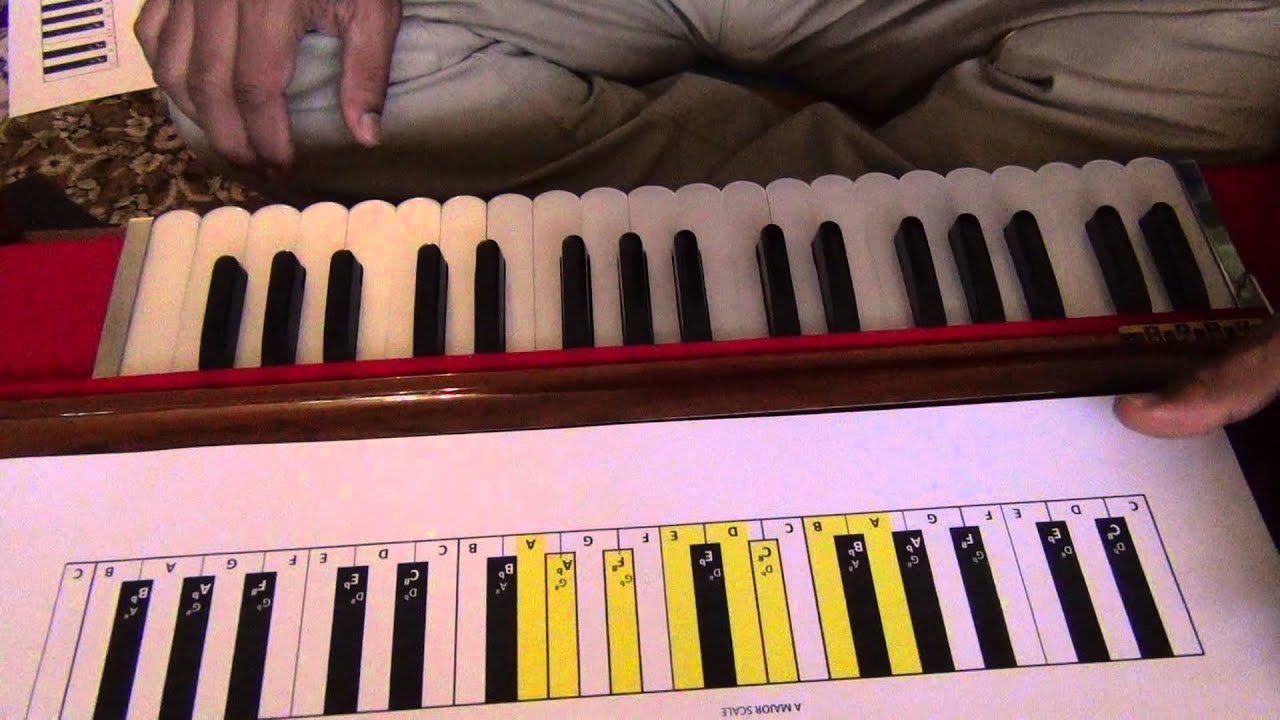 103 Harmonium Lessons for Beginners YouTube