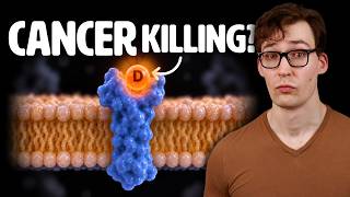 The Key to Killing Cancer: Vitamin D?