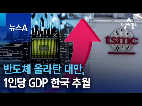   반도체 올라탄 대만 1인당 GDP 한국 추월 뉴스A