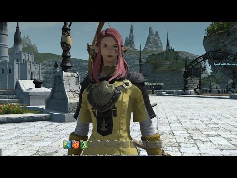 Final Fantasy XlV Successful Dungeon/Mv Butterscotch